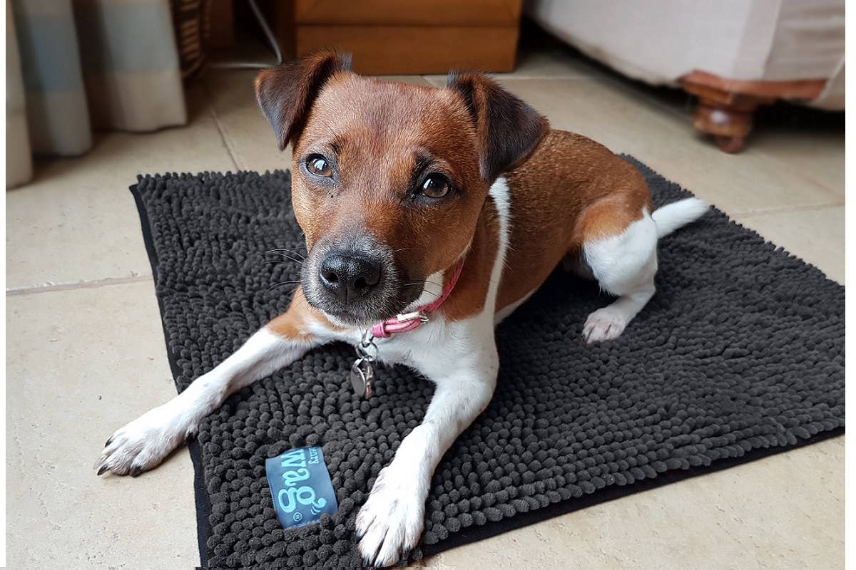 Henry Wag Microfibre Noodle Pet Mat: Medium