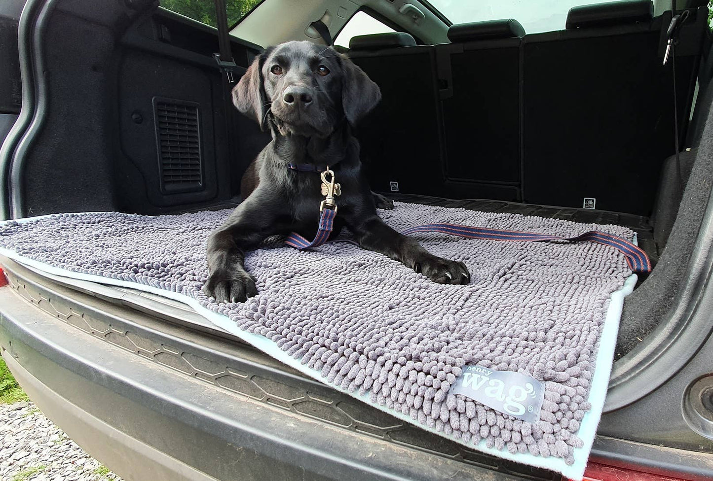 Henry Wag Microfibre Noodle Pet Mat: Medium