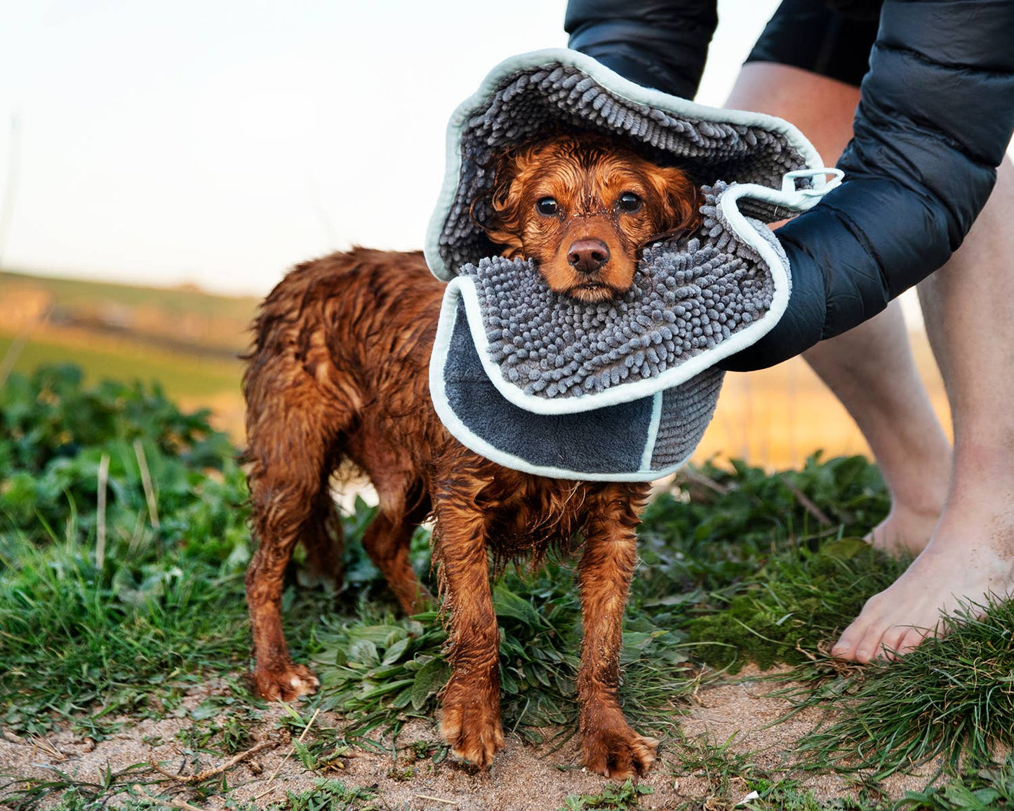 Henry Wag Noodle Glove Dog Drying Towel 80 X 35CM: 80 x35cm
