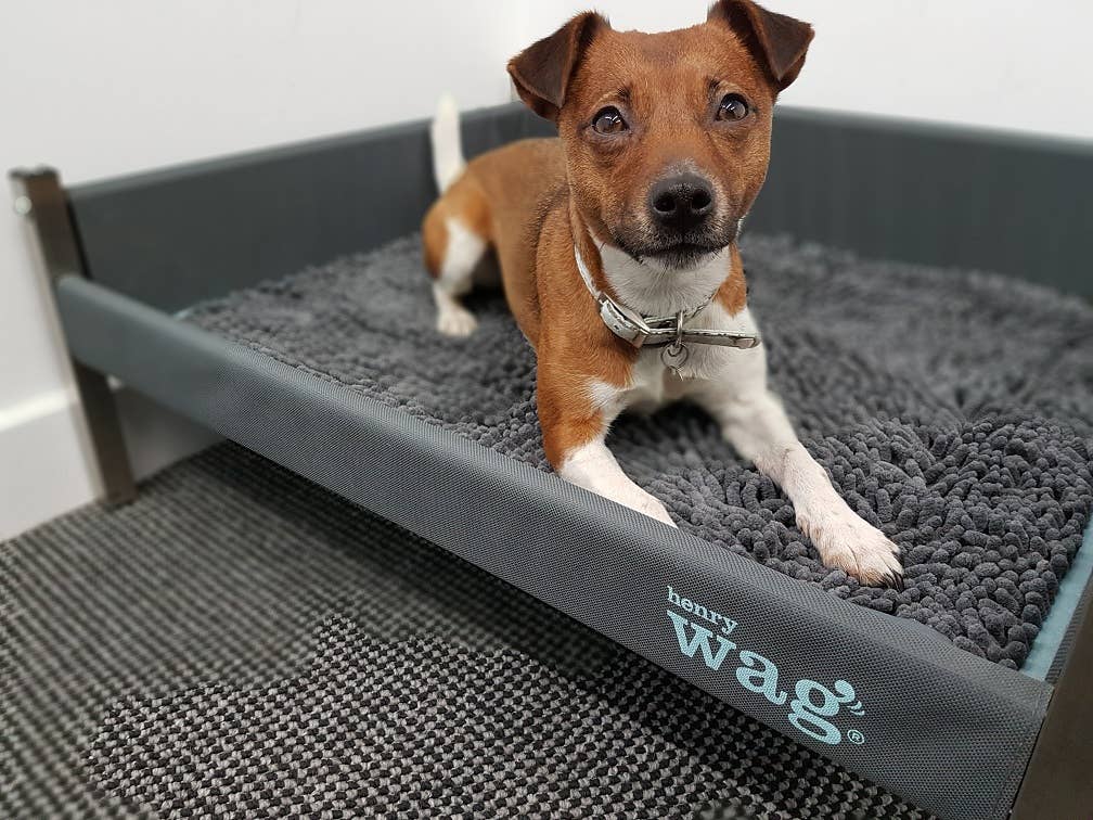 Henry Wag Microfibre Noodle Pet Mat: Medium