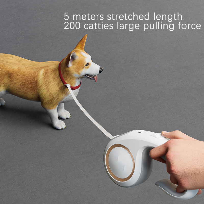Flexi Retractable Leash - Small & Medium Dogs 5m/16 ft