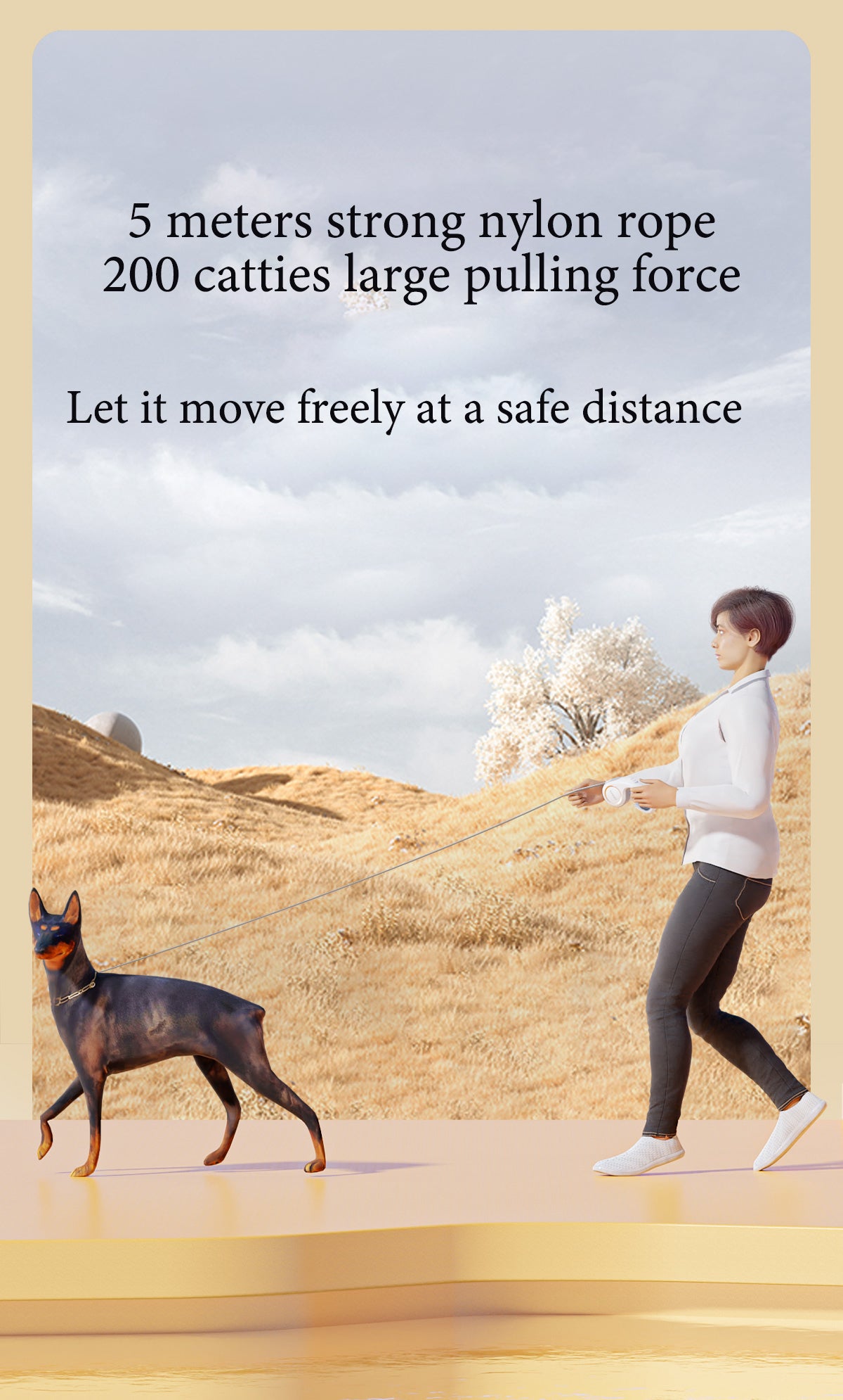 Flexi Retractable Leash - Small & Medium Dogs 5m/16 ft