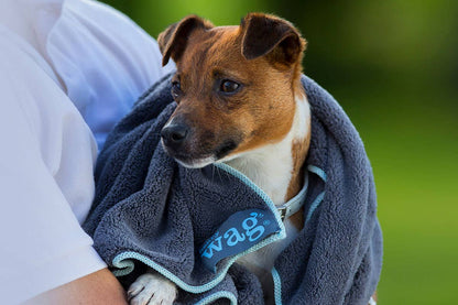 Henry Wag Pet Microfibre Towel: Large 150 x 100cm