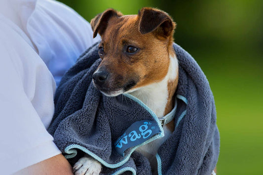 Henry Wag Pet Microfibre Towel: Large 150 x 100cm